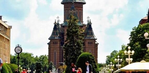 Școala de vară – Timișoara